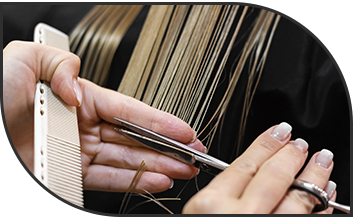 Serviçoes para elas